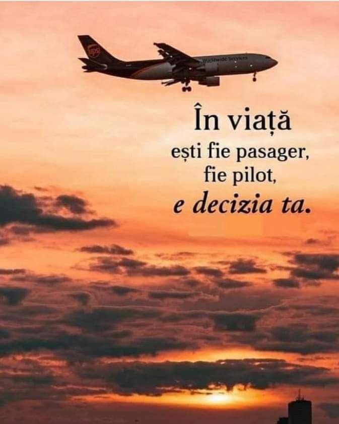 Decizia de a fi in viata Pasager sau Pilot iti apartine 