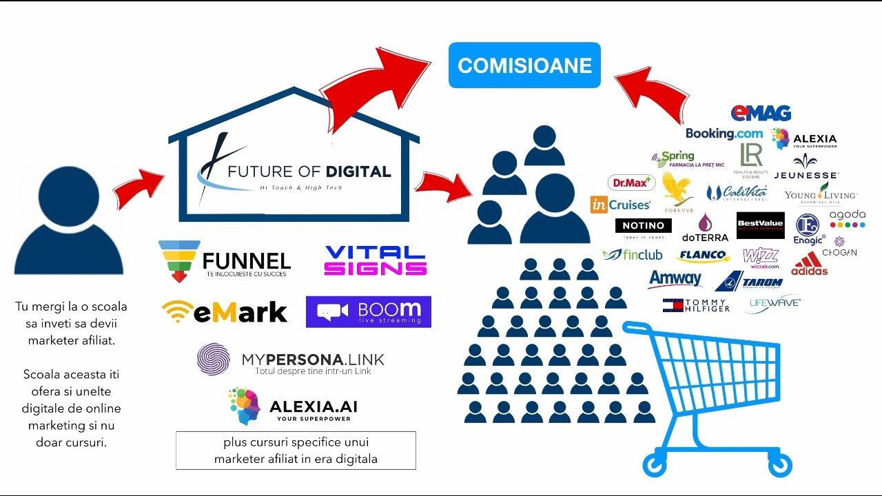 Despre consultanta Future of Digital in business-ul de affiliate marketing