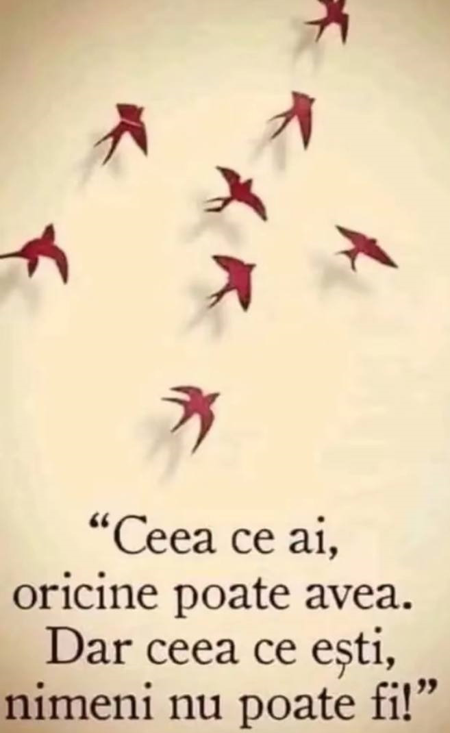✍ 𝐂𝐞𝐞𝐚 𝐜𝐞 𝐚𝐢, 𝐨𝐫𝐢𝐜𝐢𝐧𝐞 𝐩𝐨𝐚𝐭𝐞 𝐚𝐯𝐞𝐚. 𝐃𝐚𝐫 𝐜𝐞𝐞𝐚 𝐜𝐞 𝐞ș𝐭𝐢, 𝐧𝐮 𝐩𝐨𝐚𝐭𝐞 𝐟𝐢 𝐧𝐢𝐦𝐞𝐧𝐢.